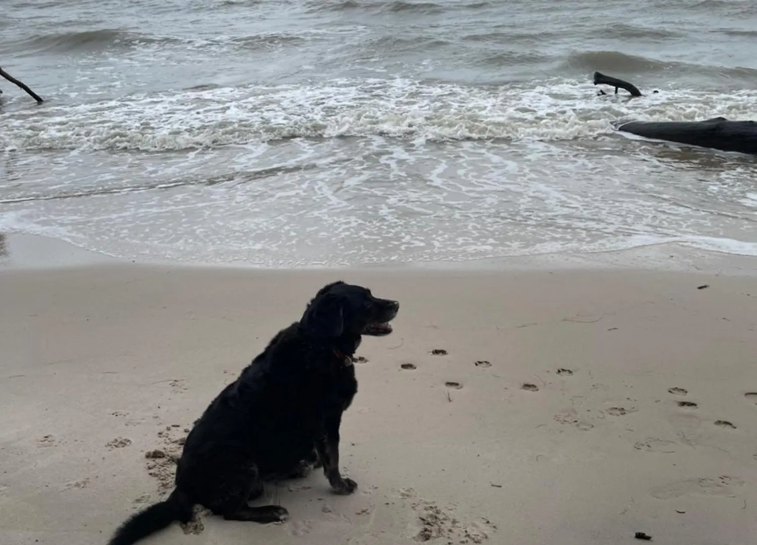 Pet Friendly Beachfront Home- Sleeps 8 Toogoom Australia