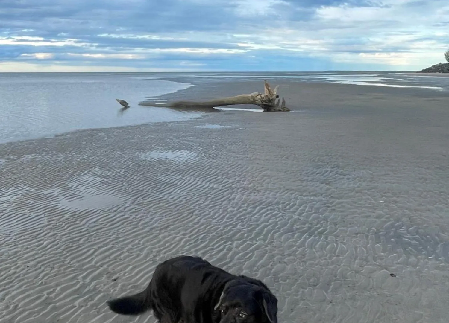 Pet Friendly Beachfront Home- Sleeps 8 Toogoom Holiday home
